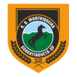 Associação Desportiva Manthiqueira Logo Transparent PNG