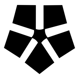 Associacao Portelense De Futebol