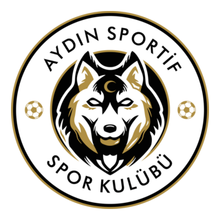 Aydın Sportif