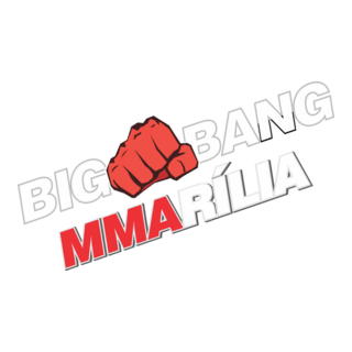 BIG BANG MMA