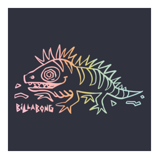 BILLABONG CAMELEON RAINBOW