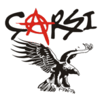 BJK Carsi Logo Transparent PNG