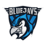 BLUEJAYS Logo Transparent PNG