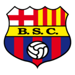 BSC Logo Transparent PNG