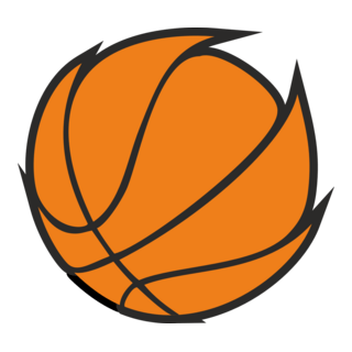 Ball Basket