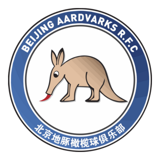 Beijing Aardvarks