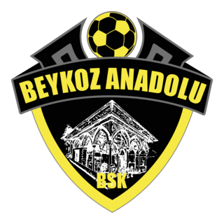 Beykoz Anadolu Spor