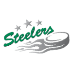 Bietigheim Steelers Logo Transparent PNG