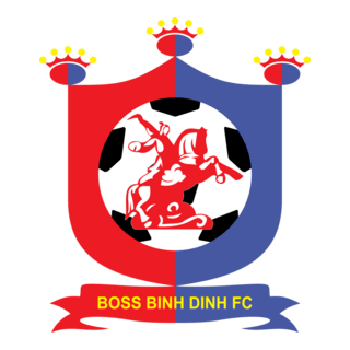 Binh Dinh F.C