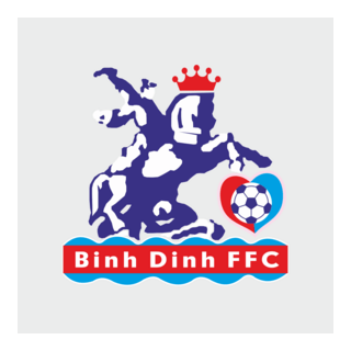 Binh Dinh FC