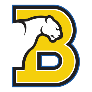 Birmingham-southern Panthers