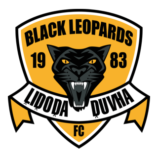 Black Leopards FC