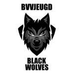 Bocholter VV Logo Transparent PNG