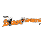 Boomsports Logo Transparent PNG