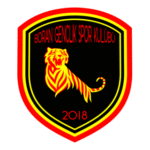 Boran Gençlikspor Logo Transparent PNG