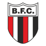 Botafogo Futebol Clube Logo Transparent PNG