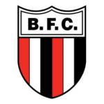 Botafogo SP Logo Transparent PNG