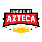 Box Azteca Logo Transparent PNG