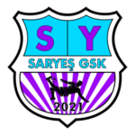 Boyabat Saryeş Spor Logo Transparent PNG