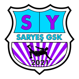 Boyabat Saryeş Spor