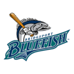 Bridgeport Bluefish Logo Transparent PNG