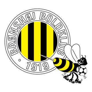 Bronshoj