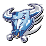 Buffalo Bulls Logo Transparent PNG