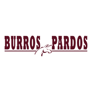 Burros Pardos ITS