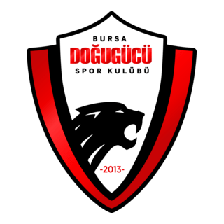 Bursa Doğugücü