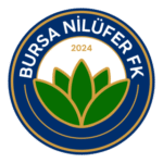 Bursa Nilüfer FK Logo Transparent PNG