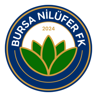 Bursa Nilüfer FK