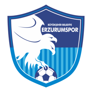 Büyükşehir Belediye Erzurumspor