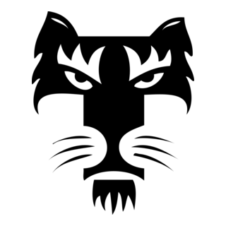 CA Tigre