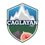 Çağlayanspor Logo Transparent PNG