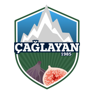 Çağlayanspor