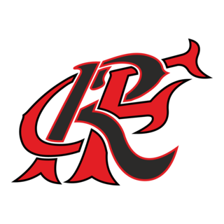 Camisa 12 Flamengo
