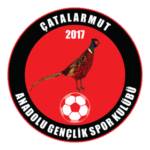 Çatalarmut Anadolu Gençlikspor Logo Transparent PNG