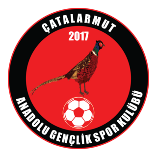 Çatalarmut Anadolu Gençlikspor