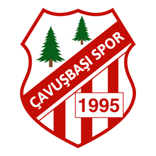 Çavuşbaşıspor