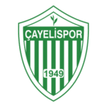 Çayelispor Logo Transparent PNG