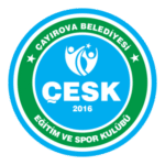 Çayırova Eğitimspor Logo Transparent PNG