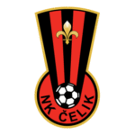 Celik Logo Transparent PNG
