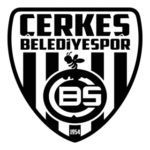Çerkeş Belediye Spor Logo Transparent PNG