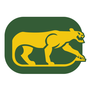 Chicago Cougars