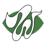 Chicago Winds Logo Transparent PNG