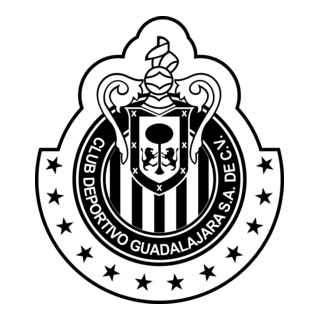 Chivas Rayadas Blanco Y Negro