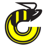 Cincinnati Stingers Logo Transparent PNG