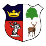 Cinderford Town Association Football Club Logo Transparent PNG