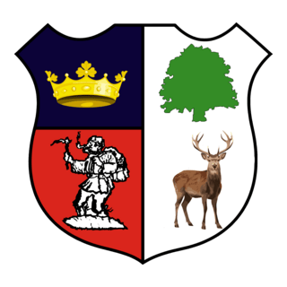 Cinderford Town Association Football Club