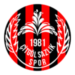 Çitgöl Sazlık Spor Logo Transparent PNG